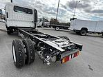 New 2025 Chevrolet LCF 3500 Crew Cab 4x2 Cab Chassis for sale #F2271 - photo 9