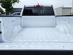 2025 Ram 1500 Quad Cab 4x4 Pickup for sale #6805AV - photo 12