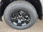 2025 Ram 1500 Crew Cab 4x4 Pickup for sale #6816AV - photo 19