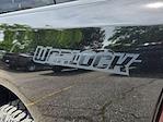 2025 Ram 1500 Crew Cab 4x4 Pickup for sale #6874AV - photo 14