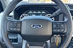 New 2024 Ford F-250 XL Regular Cab 4WD Pickup for sale #REF67765 - photo 19