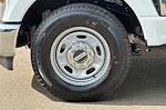New 2024 Ford F-250 XL Regular Cab Pickup for sale #REF68365 - photo 19