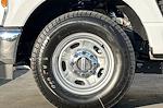 New 2026 Ford F-250 XL Crew Cab for sale #TED08730 - photo 22