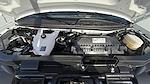 2025 Chevrolet Express 3500 RWD Passenger Van for sale #206038E - photo 33