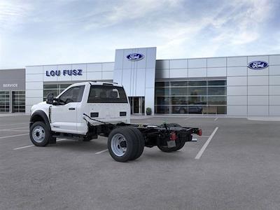 2025 Ford F-550 Regular Cab DRW 4WD Cab Chassis for sale #FF25448 - photo 2