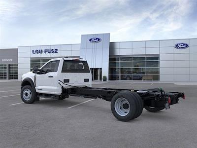 2025 Ford F-600 Regular Cab DRW 4WD Cab Chassis for sale #FF25679 - photo 2