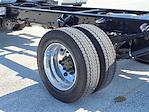 New 2024 Chevrolet Silverado 5500 Work Truck Regular Cab 4WD Cab Chassis for sale #CF241646 - photo 19