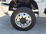 New 2024 Chevrolet Silverado 5500 Work Truck Regular Cab 4WD Cab Chassis for sale #CF241646 - photo 20