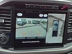 2024 Ford F-150 SuperCrew Cab 4x4 Pickup for sale #245319 - photo 20