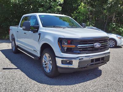 2024 Ford F-150 SuperCrew Cab 4x4 Pickup for sale #245517 - photo 1