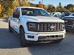 New 2024 Ford F-150 STX SuperCrew Cab 4x4 Pickup for sale #245656 - photo 1