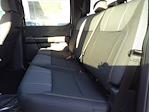 New 2024 Ford F-150 STX SuperCrew Cab 4x4 Pickup for sale #245656 - photo 13