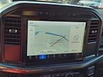 New 2024 Ford F-150 STX SuperCrew Cab 4x4 Pickup for sale #245656 - photo 19