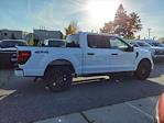 New 2024 Ford F-150 STX SuperCrew Cab 4x4 Pickup for sale #245656 - photo 8