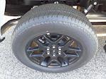 New 2024 Ford F-150 STX SuperCrew Cab 4x4 Pickup for sale #245656 - photo 9