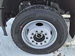 New 2024 Ford F-600 Regular Cab 4x4 Cab Chassis for sale #245803 - photo 8