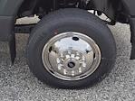 New 2024 Ford F-550 XLT Regular Cab 4x4 Cab Chassis for sale #245827 - photo 8