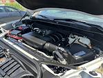 2019 GMC Sierra 1500 Crew Cab 4x4 Pickup for sale #245839B - photo 20