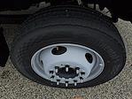 New 2024 Ford F-450 Regular Cab Cab Chassis for sale #245965 - photo 9