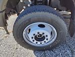 New 2024 Ford F-600 Regular Cab 4x4 11' Crysteel Steel Dump Truck for sale #249663 - photo 6