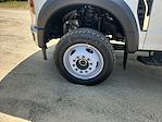 New 2024 Ford F-450 XL Regular Cab 4WD Cab Chassis for sale #249688 - photo 21