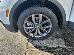 2024 Volkswagen Tiguan AWD SUV for sale #2518SP - photo 22