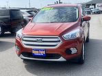 Used 2019 Ford Escape SE 4x4 SUV for sale #252774A - photo 3