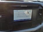 New 2025 Ford F-250 XLT Regular Cab 4x4 Pickup for sale #254093 - photo 17