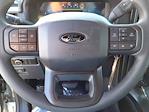 2025 Ford F-150 SuperCrew Cab 4x4 Pickup for sale #254102 - photo 14