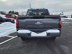 2025 Ford F-150 SuperCrew Cab 4x4 Pickup for sale #254119 - photo 5