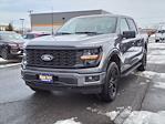 2025 Ford F-150 SuperCrew Cab 4x4 Pickup for sale #254125 - photo 1