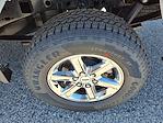 New 2025 Ford F-150 XLT Super Cab 4x4 Pickup for sale #254126 - photo 9