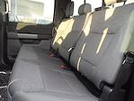 New 2025 Ford F-150 XLT SuperCrew Cab 4x4 Pickup for sale #254137 - photo 13