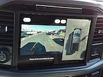 2025 Ford F-150 SuperCrew Cab 4x4 Pickup for sale #254300 - photo 19