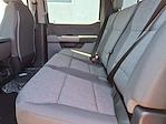 New 2025 Ford F-350 XL Crew Cab 4x4 SRW Pickup for sale #254327 - photo 13
