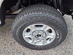 New 2025 Ford F-350 XLT Regular Cab 4x4 SRW Pickup for sale #254440 - photo 9