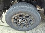 New 2025 Ford F-350 XLT Crew Cab 4x4 SRW Pickup for sale #254441 - photo 10