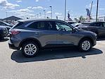 Used 2022 Ford Escape SE for sale #254608A - photo 8