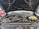 2022 Ford F-350 Crew Cab SRW 4WD Pickup for sale #254629A - photo 22