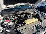 2023 Ford F-150 SuperCrew Cab 4WD Pickup for sale #254817A - photo 20