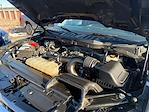 2021 Ford F-150 SuperCrew Cab 4WD Pickup for sale #254909B - photo 20