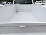 New 2024 Ford F-250 Regular Cab 4x4 Reading U98-SWs 8' 2" Service Truck for sale #259008 - photo 9