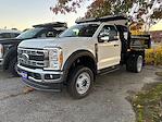 New 2025 Ford F-450 Regular Cab 4WD Dump Truck for sale #259029 - photo 1