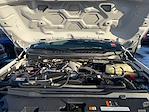 Used 2024 Ford F-350 XLT Crew Cab for sale #259040A - photo 20