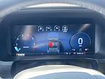 2024 Ford F-150 SuperCrew Cab 4x4 Pickup for sale #25C117 - photo 18