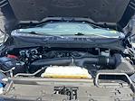 2024 Ford F-150 SuperCrew Cab 4x4 Pickup for sale #25C117 - photo 22