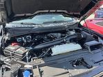 2024 Ford F-150 SuperCrew Cab 4x4 Pickup for sale #25C119 - photo 20