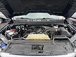 2022 Ford F-150 SuperCrew Cab 4x4 Pickup for sale #25C131 - photo 19