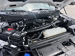 2024 Ford F-150 SuperCrew Cab 4x4 Pickup for sale #25C134 - photo 19