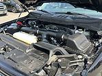 2024 Ford F-150 SuperCrew Cab 4WD Pickup for sale #25C154 - photo 20
